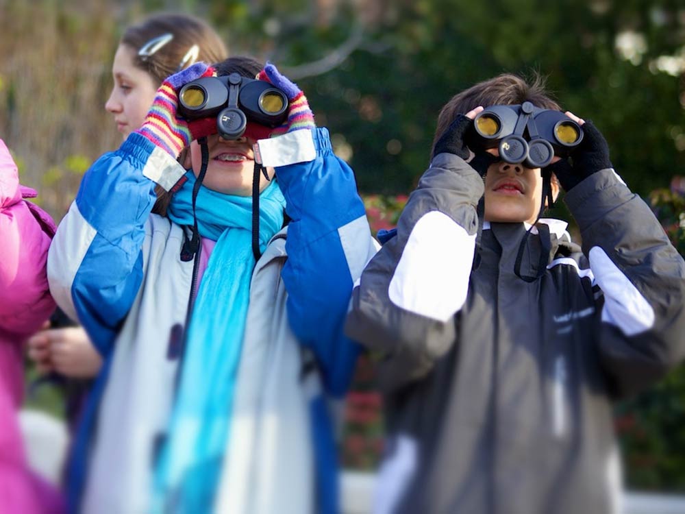 Turismo ornitológico, Observación de aves pirineos Huesca