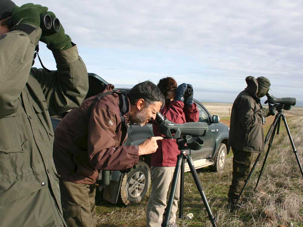 Turismo ornitológico, Observación de aves pirineos Huesca